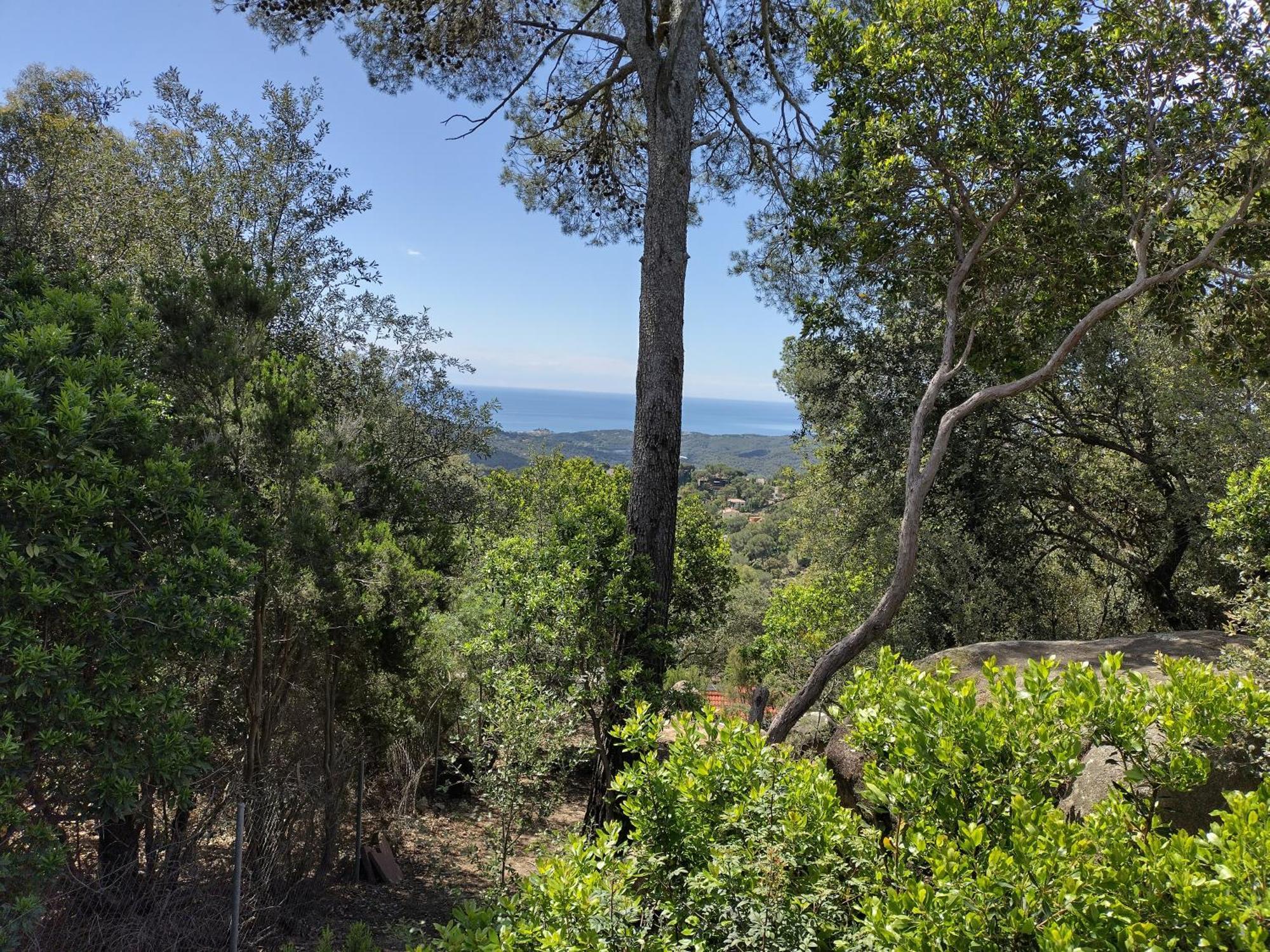 הוילה Sant Cebrià de Vallalta Casa Feliz מראה חיצוני תמונה