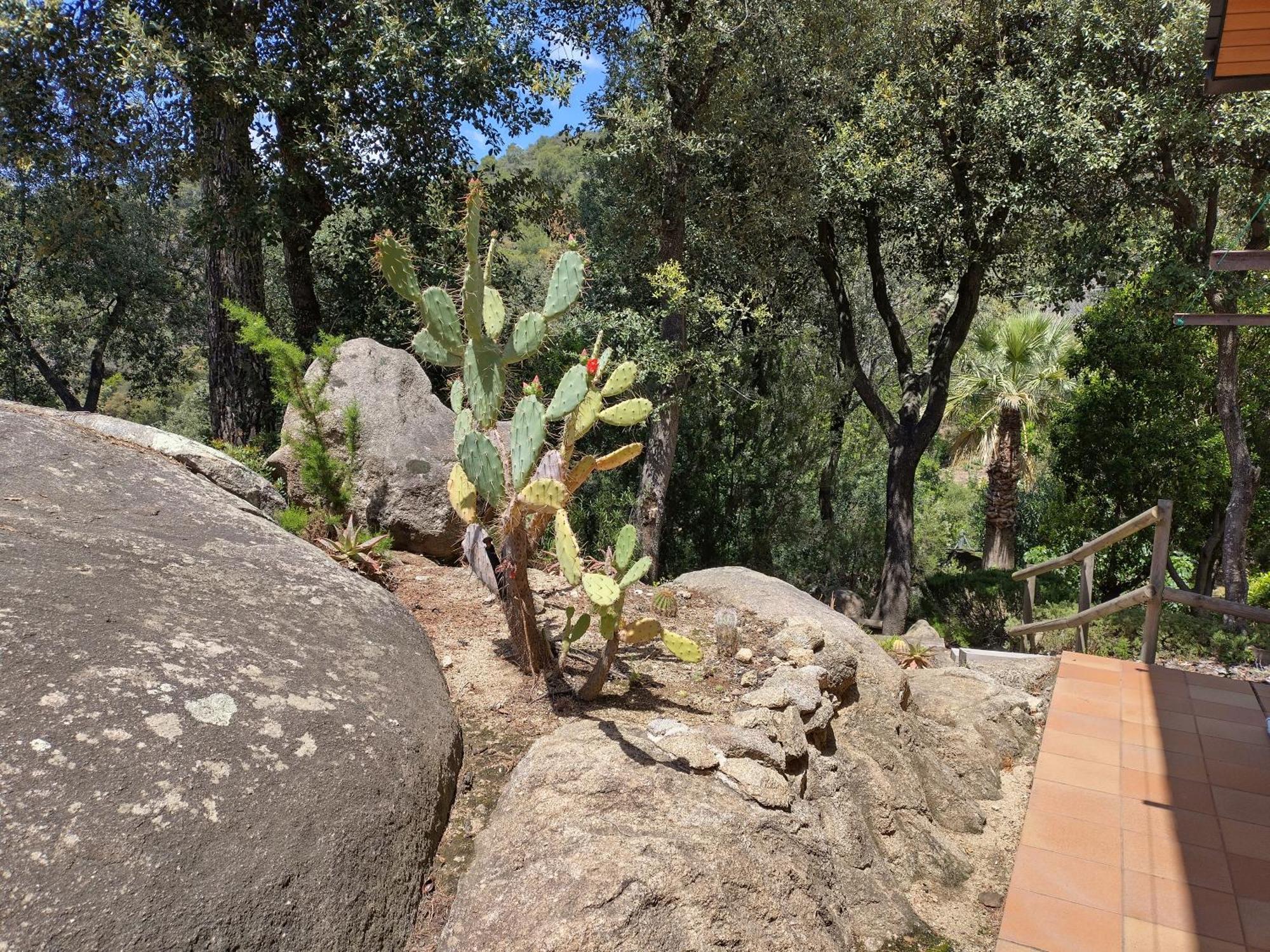 הוילה Sant Cebrià de Vallalta Casa Feliz מראה חיצוני תמונה