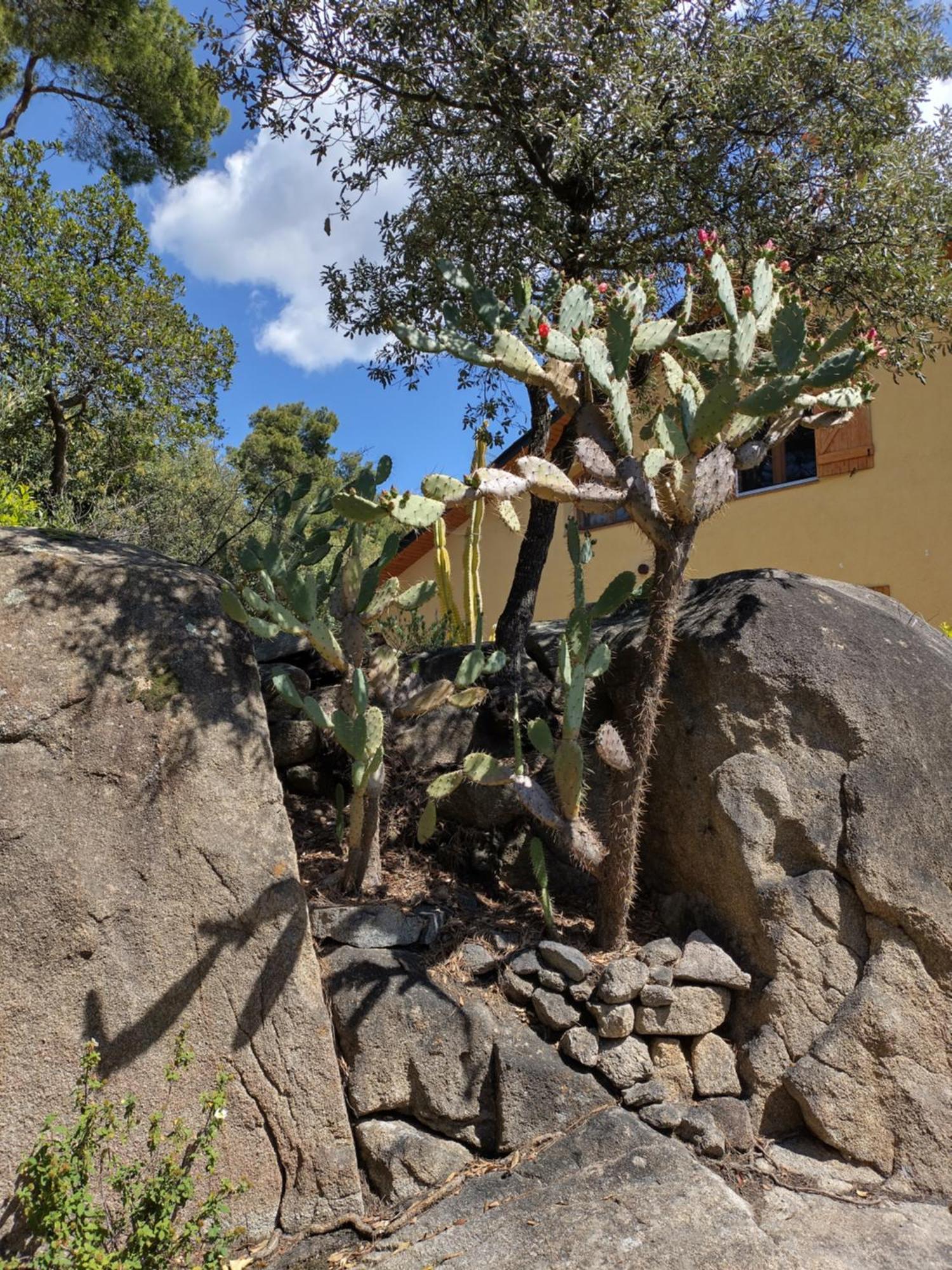 הוילה Sant Cebrià de Vallalta Casa Feliz מראה חיצוני תמונה
